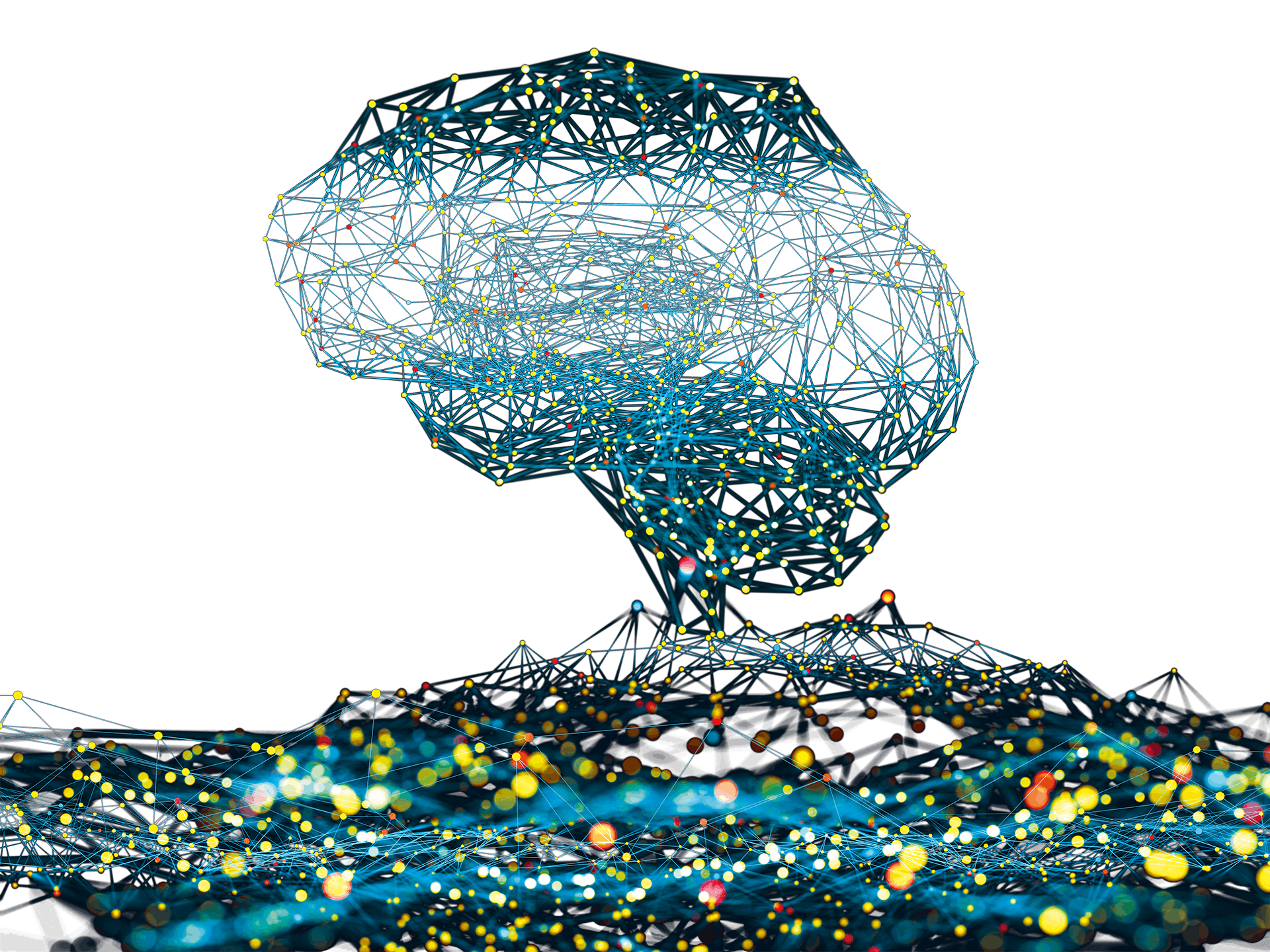What’s so intelligent about the human brain?