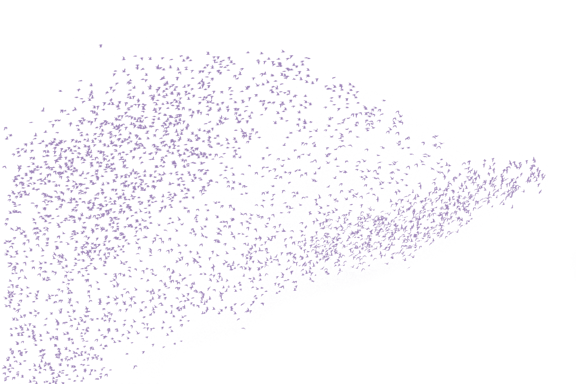 The Collective Mind:How Groups Make Decisions